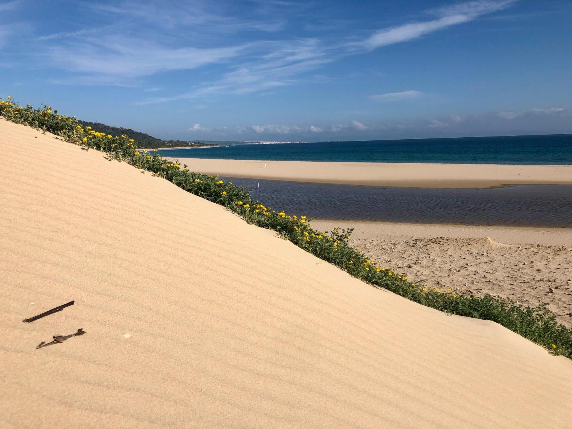 Beautiful Coastal Retreat In Punta Paloma Appartement Tarifa
